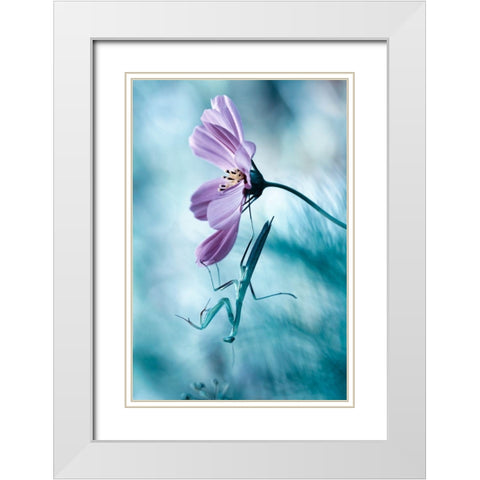 Newtonian Physics White Modern Wood Framed Art Print with Double Matting by Bravin, Fabien