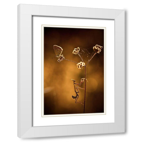 All I Want Is You White Modern Wood Framed Art Print with Double Matting by Bravin, Fabien
