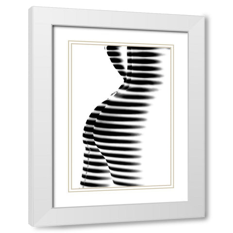 Zebra White Modern Wood Framed Art Print with Double Matting by P., Mato