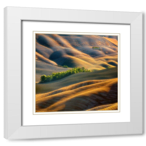 Fields White Modern Wood Framed Art Print with Double Matting by Browko, Krzysztof