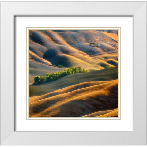 Fields White Modern Wood Framed Art Print with Double Matting by Browko, Krzysztof