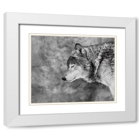 Let It Snow White Modern Wood Framed Art Print with Double Matting by Ivanova, Victoria