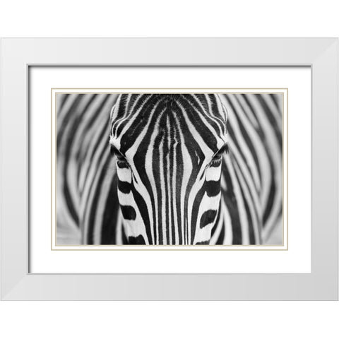 Zepra White Modern Wood Framed Art Print with Double Matting by Alhumaid, Hesham