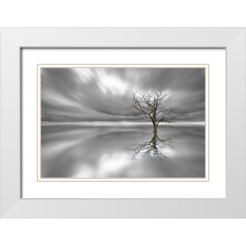 Ghost Tree White Modern Wood Framed Art Print with Double Matting by Londal, Leif