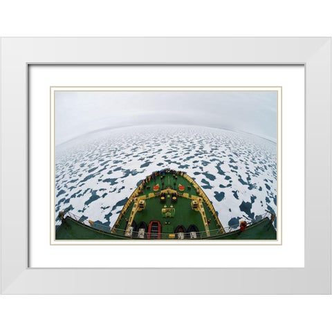Smile! YouA#039;Re In The Arctic! White Modern Wood Framed Art Print with Double Matting by Balakin, Vadim