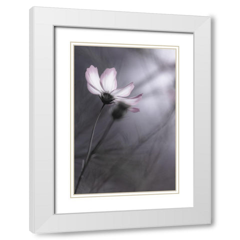 Cosmos White Modern Wood Framed Art Print with Double Matting by HIDEBON