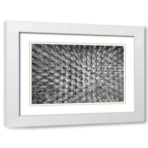 Crowded White Modern Wood Framed Art Print with Double Matting by Mitalapo