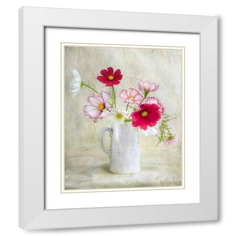 Cosmos Carnival White Modern Wood Framed Art Print with Double Matting by Disher, Mandy