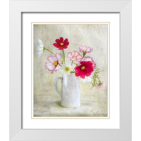 Cosmos Carnival White Modern Wood Framed Art Print with Double Matting by Disher, Mandy