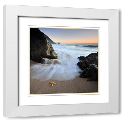 Summer Flux White Modern Wood Framed Art Print with Double Matting by Dias, Paulo