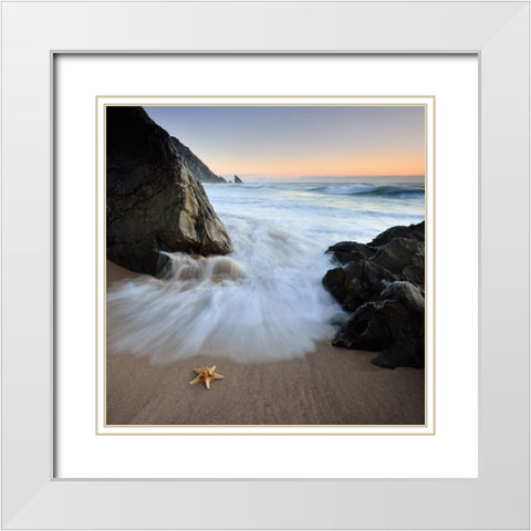 Summer Flux White Modern Wood Framed Art Print with Double Matting by Dias, Paulo