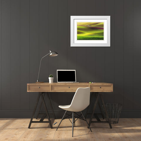 Golden Fields White Modern Wood Framed Art Print with Double Matting by Krol, Piotr