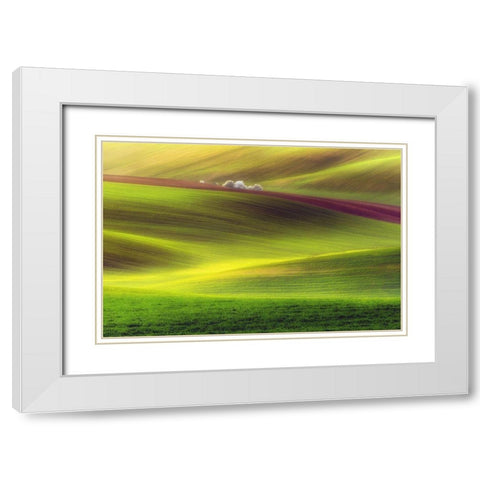 Golden Fields White Modern Wood Framed Art Print with Double Matting by Krol, Piotr