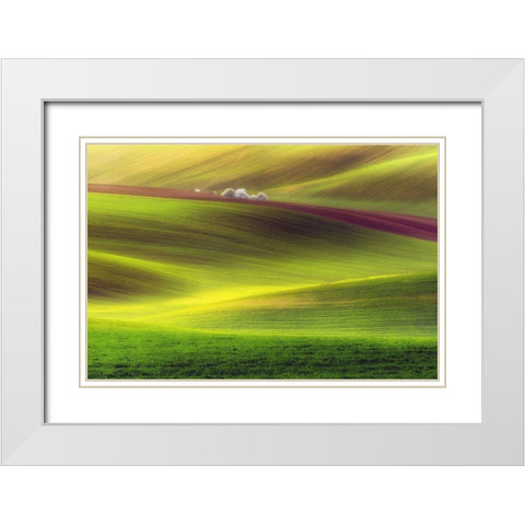 Golden Fields White Modern Wood Framed Art Print with Double Matting by Krol, Piotr