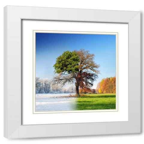 4 Seasons White Modern Wood Framed Art Print with Double Matting by Brzuszek, Adam