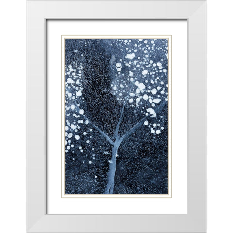 Winter Blossom White Modern Wood Framed Art Print with Double Matting by Xu, Mei