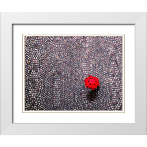 Urban Ladybug White Modern Wood Framed Art Print with Double Matting by Maffei, Franco