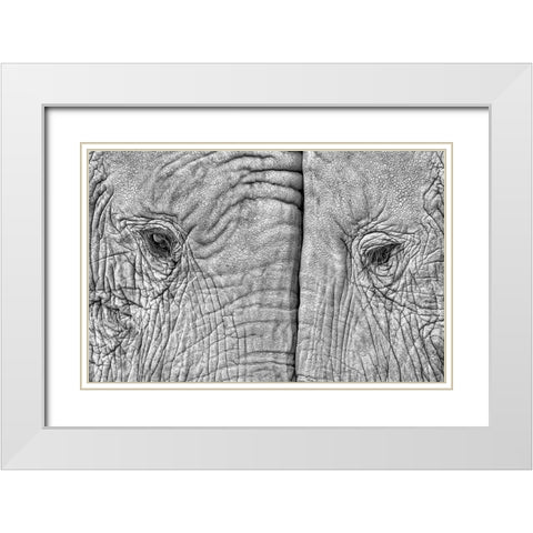 Two Elephants White Modern Wood Framed Art Print with Double Matting by Luis Duran, Juan