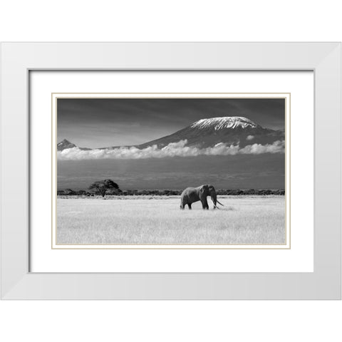 Lost Colors Ii White Modern Wood Framed Art Print with Double Matting by Canakci, Ibrahim