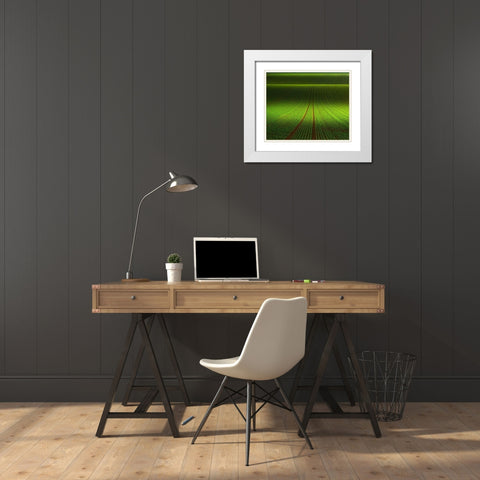 November Green White Modern Wood Framed Art Print with Double Matting by Schumacher, Nicolas