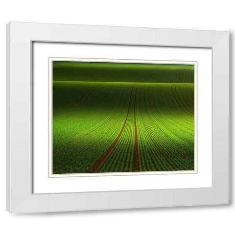 November Green White Modern Wood Framed Art Print with Double Matting by Schumacher, Nicolas