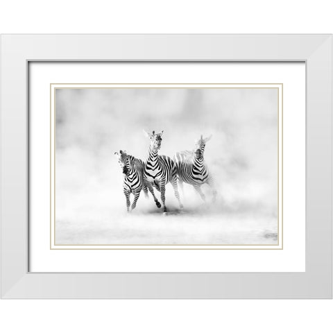 Zebras White Modern Wood Framed Art Print with Double Matting by Luis Duran, Juan