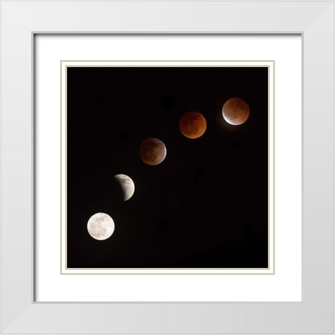 Moon At Play White Modern Wood Framed Art Print with Double Matting by Ianulionoc, Vadim