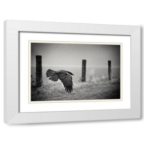 The Day Of The Raven White Modern Wood Framed Art Print with Double Matting by Droste, Holger