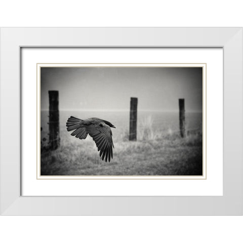 The Day Of The Raven White Modern Wood Framed Art Print with Double Matting by Droste, Holger