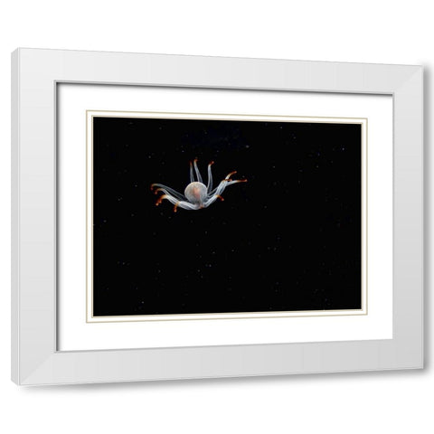 Alien White Modern Wood Framed Art Print with Double Matting by Barchana, Dani
