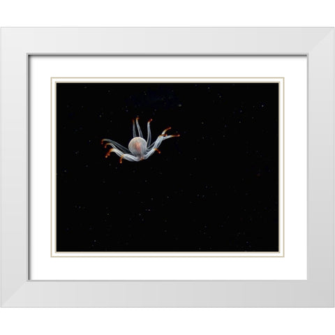 Alien White Modern Wood Framed Art Print with Double Matting by Barchana, Dani