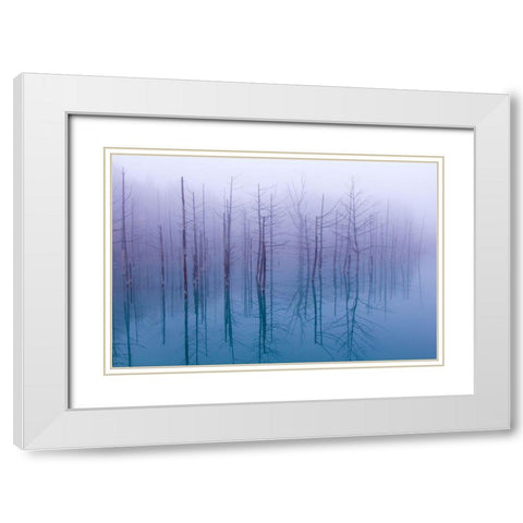 Misty Blue Pond White Modern Wood Framed Art Print with Double Matting by Asami, Osamu