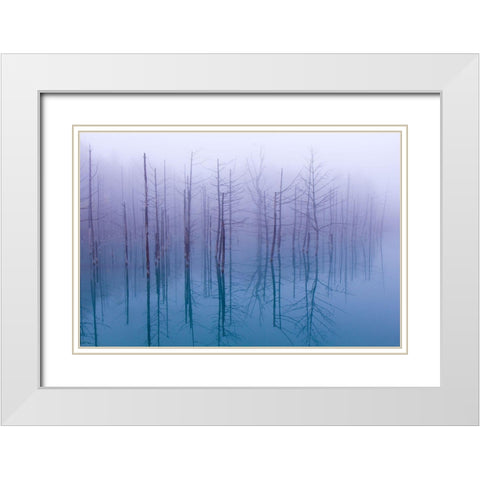 Misty Blue Pond White Modern Wood Framed Art Print with Double Matting by Asami, Osamu