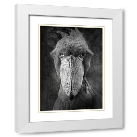 Angry Bird White Modern Wood Framed Art Print with Double Matting by Lehto, Timo