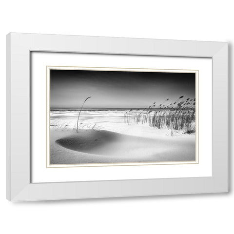 Orchestra White Modern Wood Framed Art Print with Double Matting by Cirulis, Reinis