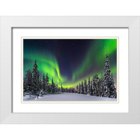 Aurora White Modern Wood Framed Art Print with Double Matting by Roemmelt, Dr. Nicholas