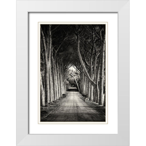 Untitled White Modern Wood Framed Art Print with Double Matting by Stimac, Sandra