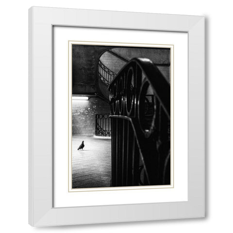 Big Bird In A Small Cage White Modern Wood Framed Art Print with Double Matting by Mexia, Laura