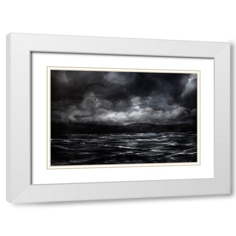 Free As A Bird White Modern Wood Framed Art Print with Double Matting by Marthinussen, Willy