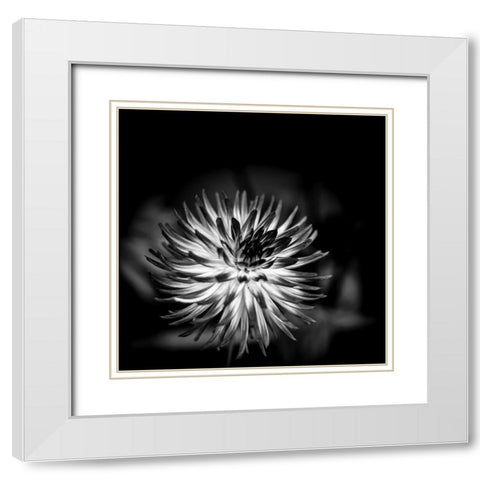 Sensual Performance White Modern Wood Framed Art Print with Double Matting by Bland, Richard