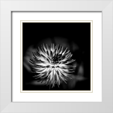 Sensual Performance White Modern Wood Framed Art Print with Double Matting by Bland, Richard