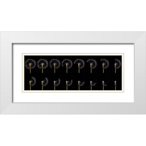 Countdown White Modern Wood Framed Art Print with Double Matting by Lionse, Art