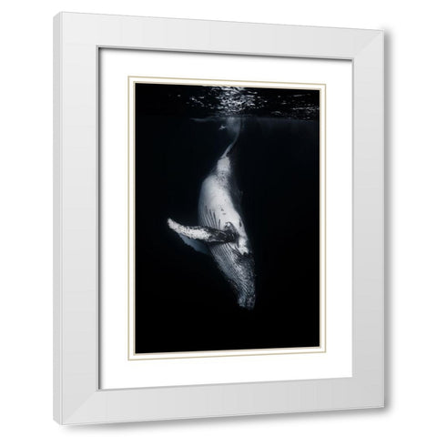 Black Whale White Modern Wood Framed Art Print with Double Matting by Gabriel, Barathieu