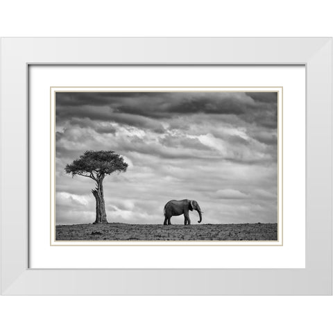 Elephant Landscape White Modern Wood Framed Art Print with Double Matting by Moreno, Mario