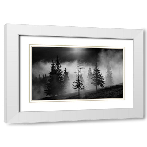Misty Forest White Modern Wood Framed Art Print with Double Matting by Oncete, Julien
