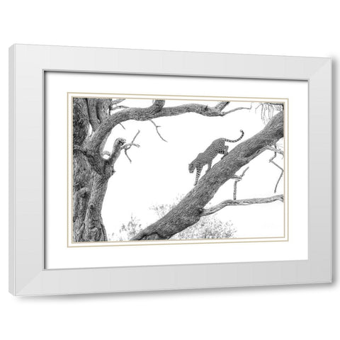 High Key Leopard White Modern Wood Framed Art Print with Double Matting by Marx, Jaco