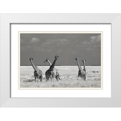 Look Girl Strange Animals White Modern Wood Framed Art Print with Double Matting by Guillemot, Mathilde