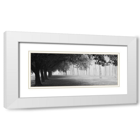 Morning Fog White Modern Wood Framed Art Print with Double Matting by Chiarello, Matteo