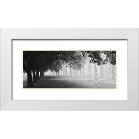 Morning Fog White Modern Wood Framed Art Print with Double Matting by Chiarello, Matteo