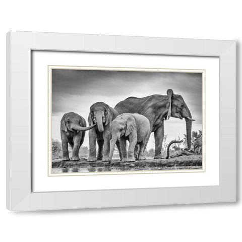 A Giant Unity White Modern Wood Framed Art Print with Double Matting by Marx, Jaco